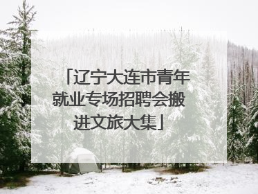 辽宁大连市青年就业专场招聘会搬进文旅大集