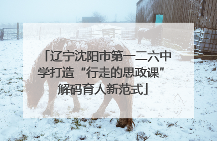 辽宁沈阳市第一二六中学打造“行走的思政课” 解码育人新范式