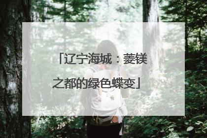辽宁海城：菱镁之都的绿色蝶变