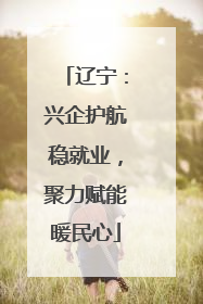 辽宁：兴企护航稳就业，聚力赋能暖民心