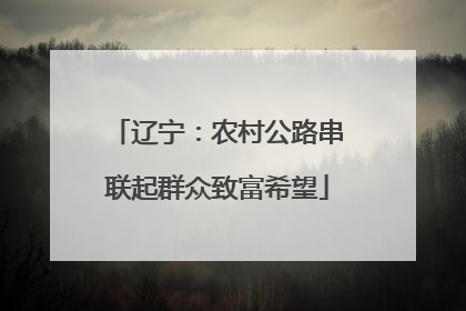辽宁：农村公路串联起群众致富希望
