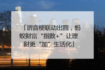 谐音梗联动出圈，蚂蚁财富“指数+”让理财更“加”生活化