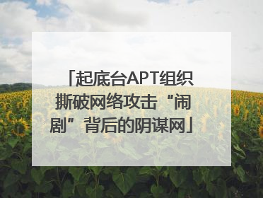 起底台APT组织 撕破网络攻击“闹剧”背后的阴谋网
