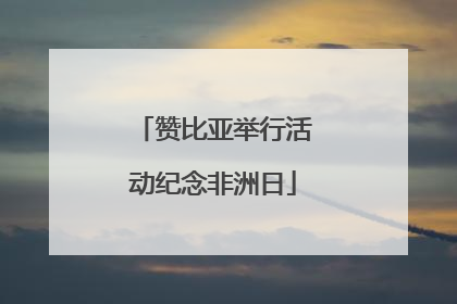 赞比亚举行活动纪念非洲日