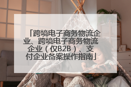 跨境电子商务物流企业、跨境电子商务物流企业（仅B2B）、支付企业备案操作指南