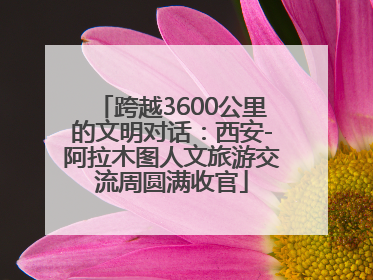 跨越3600公里的文明对话：西安-阿拉木图人文旅游交流周圆满收官