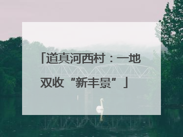 道真河西村：一地双收“新丰景”