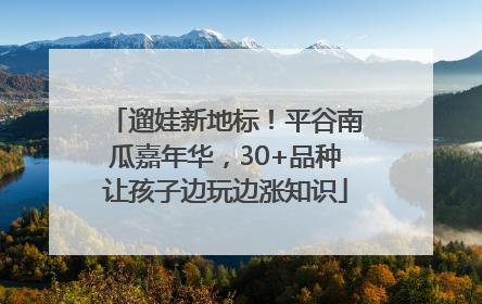 遛娃新地标！平谷南瓜嘉年华，30+品种让孩子边玩边涨知识
