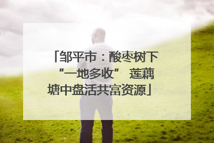 邹平市：酸枣树下“一地多收” 莲藕塘中盘活共富资源