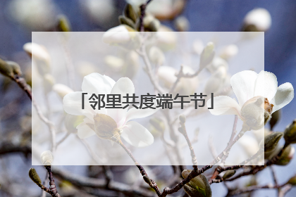 邻里共度端午节