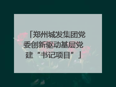 郑州城发集团党委创新驱动基层党建“书记项目”