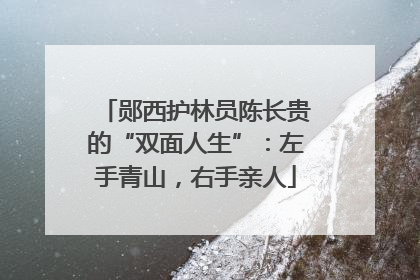 郧西护林员陈长贵的“双面人生”：左手青山，右手亲人