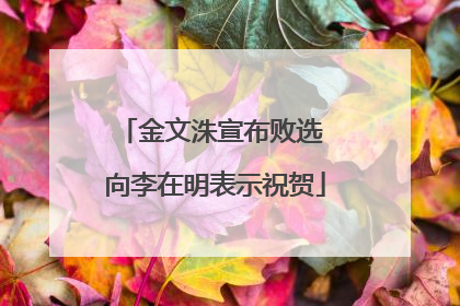 金文洙宣布败选 向李在明表示祝贺