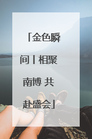金色瞬间丨相聚南博 共赴盛会