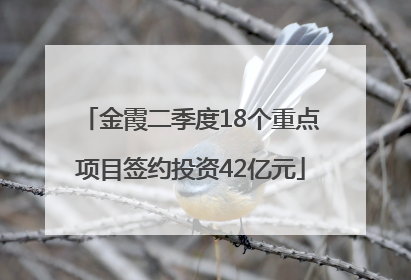金霞二季度18个重点项目签约投资42亿元