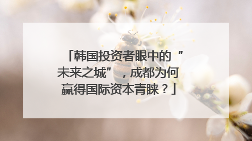 韩国投资者眼中的“未来之城”，成都为何赢得国际资本青睐？