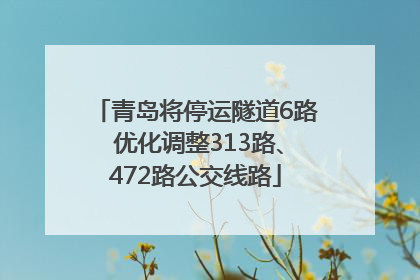 青岛将停运隧道6路 优化调整313路、472路公交线路