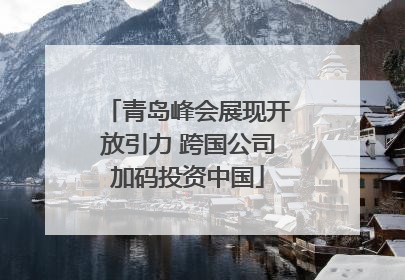 青岛峰会展现开放引力 跨国公司加码投资中国