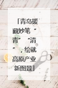 青岛援藏妙笔“青”“清”，绘就高原产业新图景