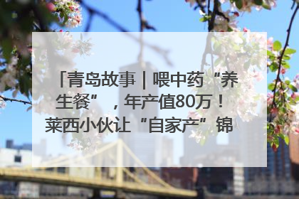 青岛故事｜喂中药“养生餐”，年产值80万！莱西小伙让“自家产”锦鲤“游”向全国