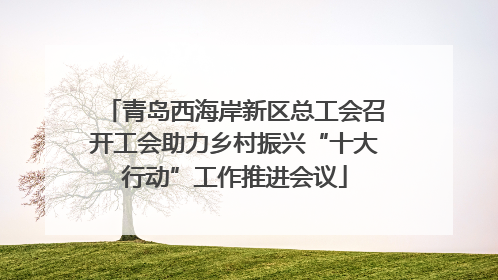 青岛西海岸新区总工会召开工会助力乡村振兴“十大行动”工作推进会议