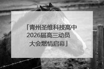 青州圣维科技高中2026届高三动员大会燃情启幕