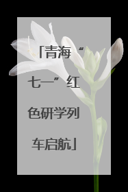 青海“七一”红色研学列车启航