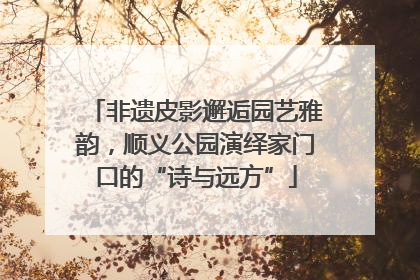 非遗皮影邂逅园艺雅韵，顺义公园演绎家门口的“诗与远方”