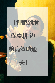 钾肥到港保夏耕 边检高效助通关