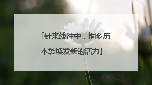 针来线往中，桐乡历本袋焕发新的活力