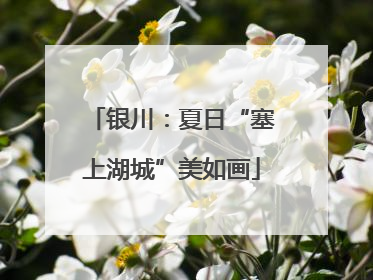 银川：夏日“塞上湖城”美如画