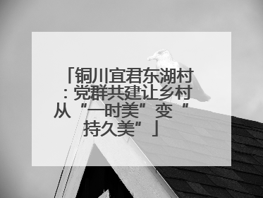 铜川宜君东湖村：党群共建让乡村从“一时美”变“持久美”