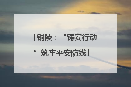 铜陵：“铸安行动”筑牢平安防线