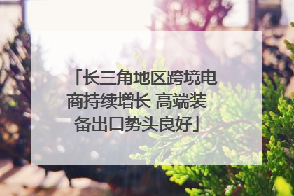 长三角地区跨境电商持续增长 高端装备出口势头良好