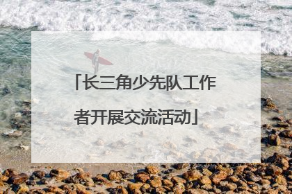 长三角少先队工作者开展交流活动
