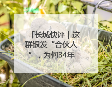 长城快评｜这群银发“合伙人”，为何34年接力做一件事