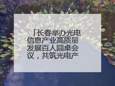 长春举办光电信息产业高质量发展百人圆桌会议，共筑光电产业创新生态