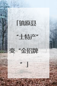镇原县 “土特产”变“金招牌”