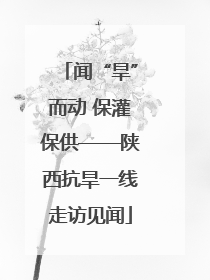 闻“旱”而动 保灌保供——陕西抗旱一线走访见闻