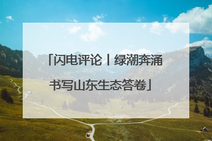 闪电评论丨绿潮奔涌 书写山东生态答卷