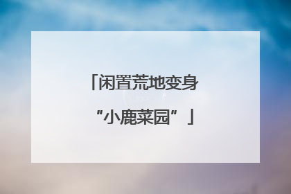 闲置荒地变身“小鹿菜园”