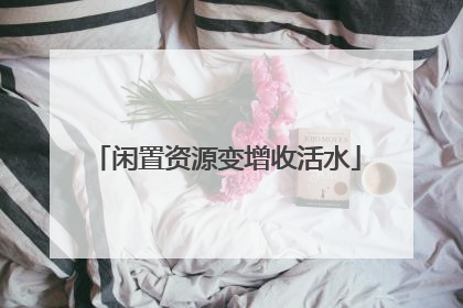 闲置资源变增收活水