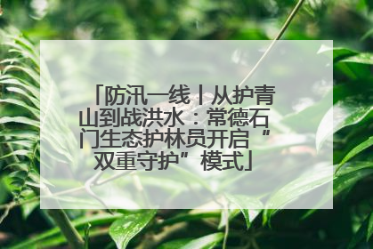 防汛一线丨从护青山到战洪水：常德石门生态护林员开启“双重守护”模式