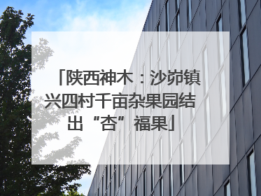 陕西神木：沙峁镇兴四村千亩杂果园结出“杏”福果