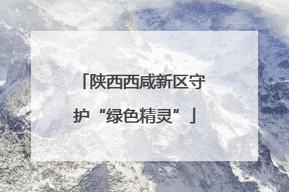 陕西西咸新区守护“绿色精灵”