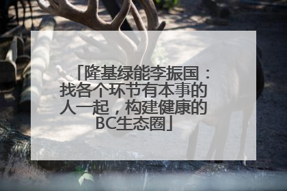 隆基绿能李振国：找各个环节有本事的人一起，构建健康的BC生态圈