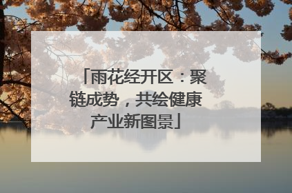雨花经开区：聚链成势，共绘健康产业新图景