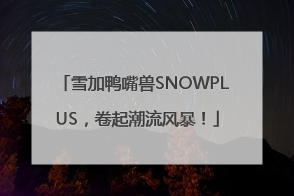 雪加鸭嘴兽SNOWPLUS，卷起潮流风暴！
