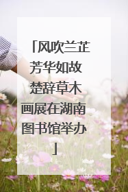 风吹兰芷 芳华如故 楚辞草木画展在湖南图书馆举办