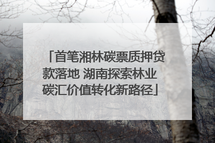 首笔湘林碳票质押贷款落地 湖南探索林业碳汇价值转化新路径